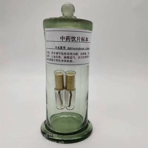 河南弘霖教学标本厂直销瓶装常见中药生药标本